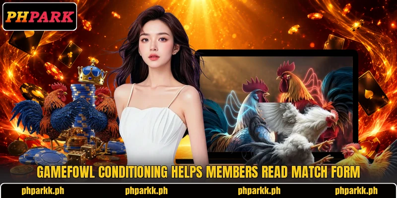 Gamefowl Conditioning helps members read match form Gamefowl Conditioning helps members read match form