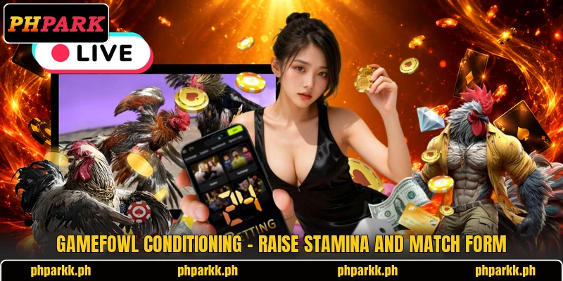 Gamefowl Conditioning - Raise Stamina And Match Form